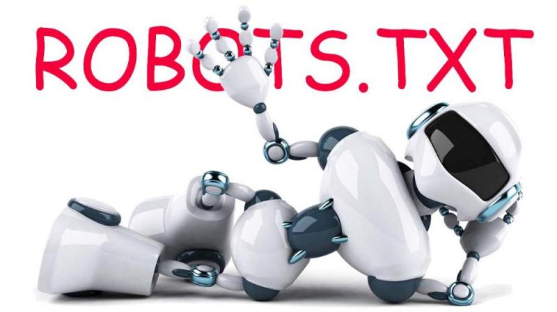 Что такое robots.txt и зачем он нужен в Пскове